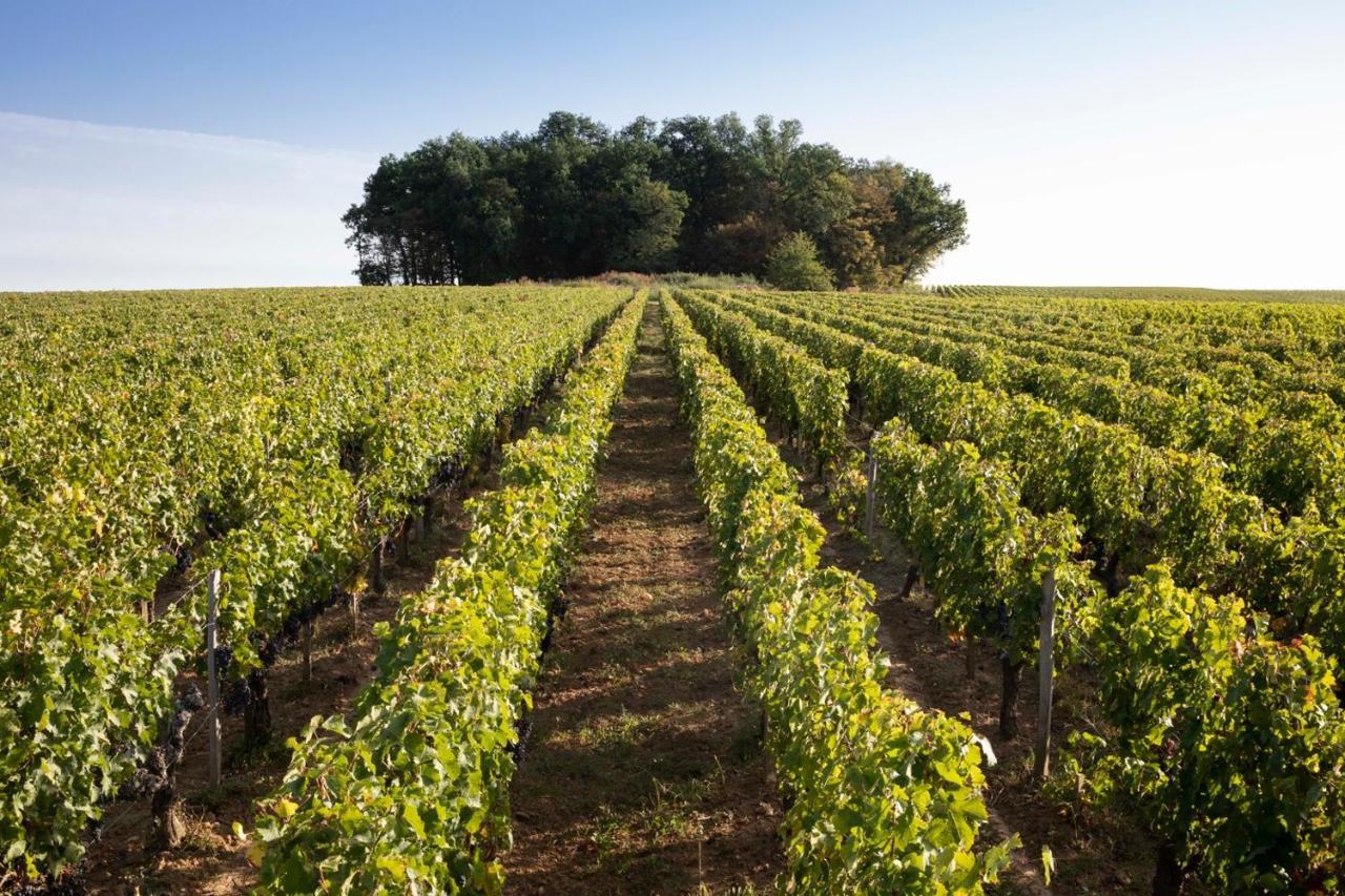 Chateau De Ferrand Bed & Breakfast Saint-Emilion Exterior photo